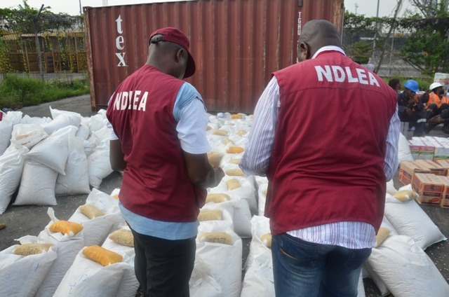 NDLEA Destroys Over 300,000 Kilograms Of Drugs In Lagos, Ogun State