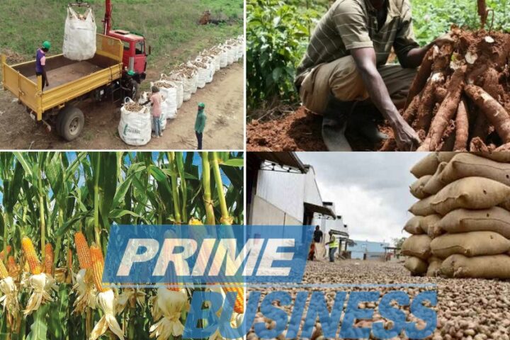 Africa Needs More Value For Agric Exports