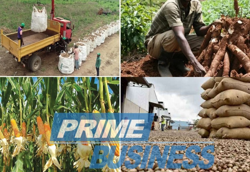 Africa Needs More Value For Agric Exports