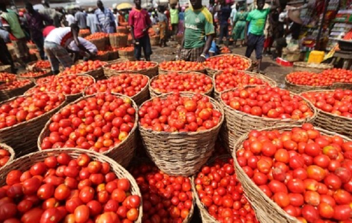 Tomato Supply Threat Sparks Fear Of Price Hike In Lagos Over Market Clash