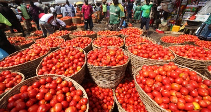 Tomato Supply Threat Sparks Fear Of Price Hike In Lagos Over Market Clash