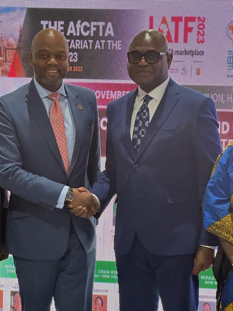 AfCFTA: Private Sector Must Be Strengthened To Unlock Africa's Prosperity - Moghalu