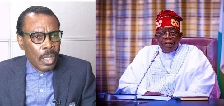 Your Experience As Lagos Governor Not Enough To Run Federal Govt - Rewane Tells Tinubu