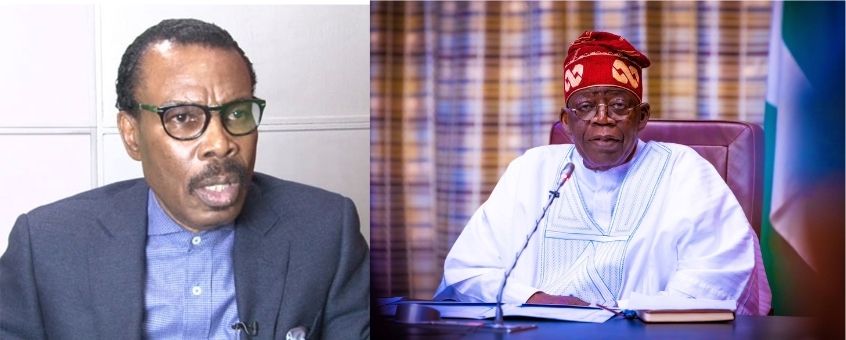 Your Experience As Lagos Governor Not Enough To Run Federal Govt - Rewane Tells Tinubu