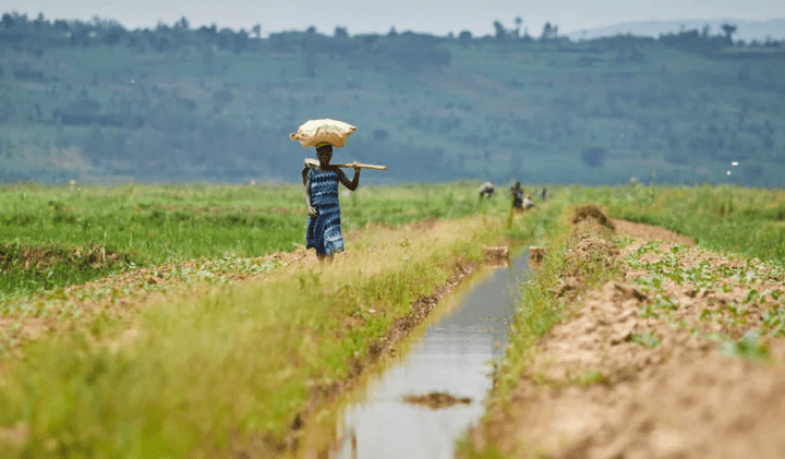 Congo: African Development Bank’s Country Strategy Paper sets developing sustainable infrastructure and improving economic governance as key priorities