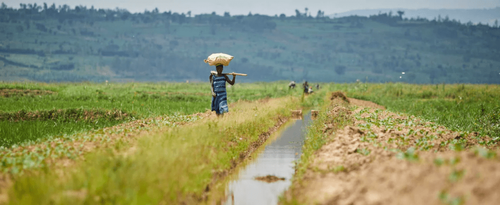 Congo: African Development Bank’s Country Strategy Paper sets developing sustainable infrastructure and improving economic governance as key priorities