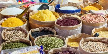 Nigeria's Agricultural Exports Face US Rejection Due To Food Safety Gaps- USDA 