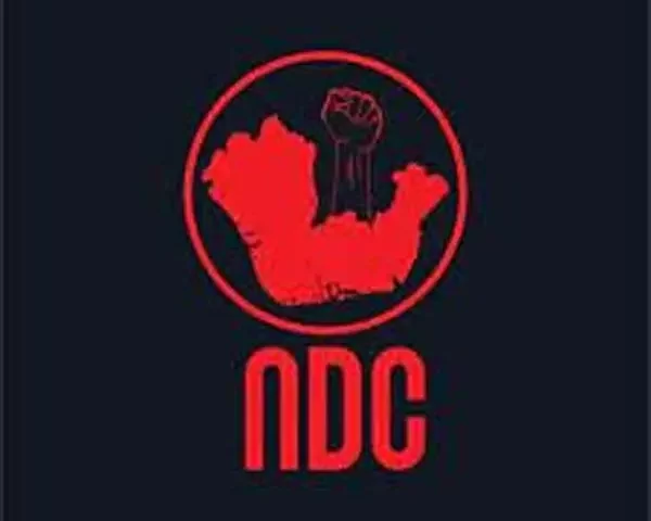 NDC Plans Protest Over, Economic Hardship In Niger Delta