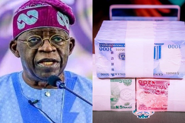 Nigeria's Treasury Bills Surpass N6.6trn In 2023 Amid Economic Headwinds