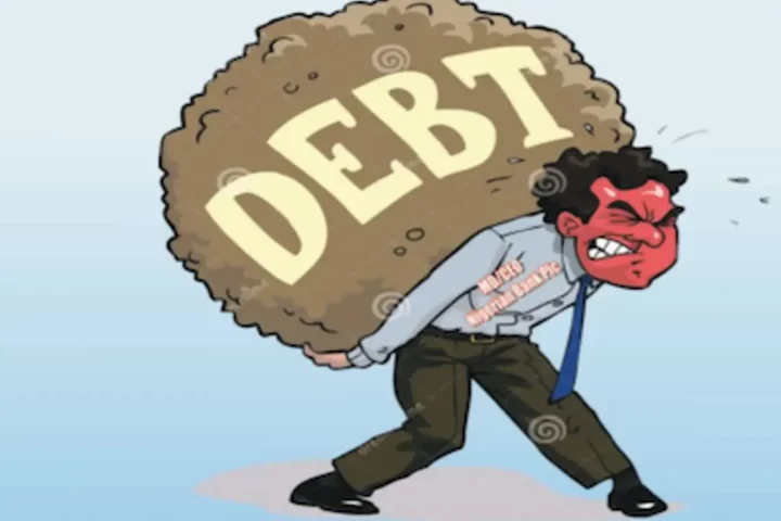 Nigeria's Debt   May Surge To N111.4tn With Fresh Borrowings