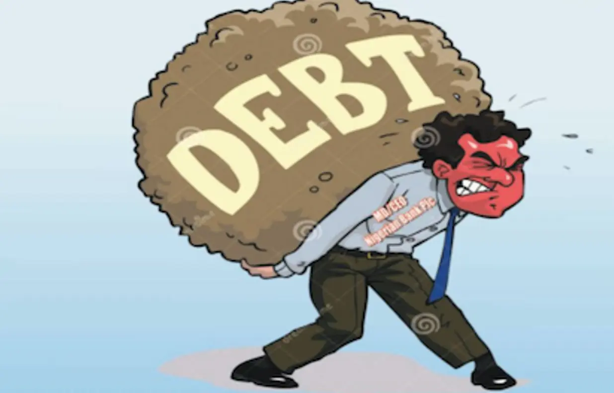 Nigeria's Debt   May Surge To N111.4tn With Fresh Borrowings