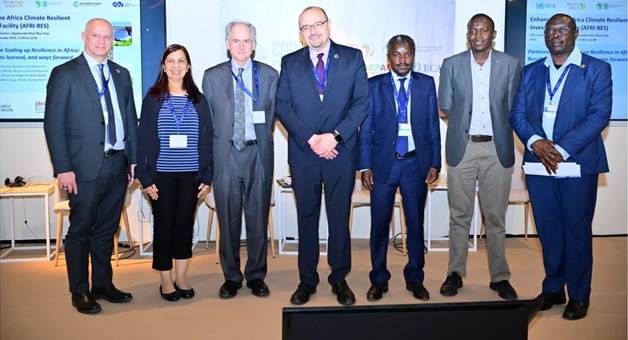 COP28: Experts Advocate Strengthened Partnerships For Climate Resilience Investments