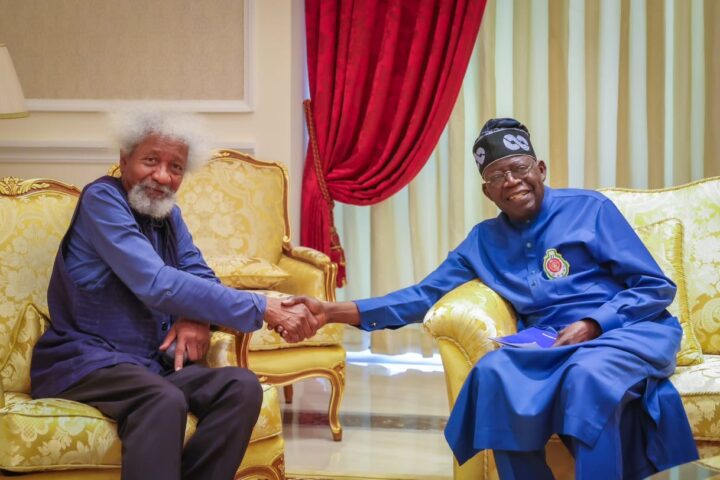 Why I Visited Tinubu -Soyinka Reveals 7-Point Agenda Discussion