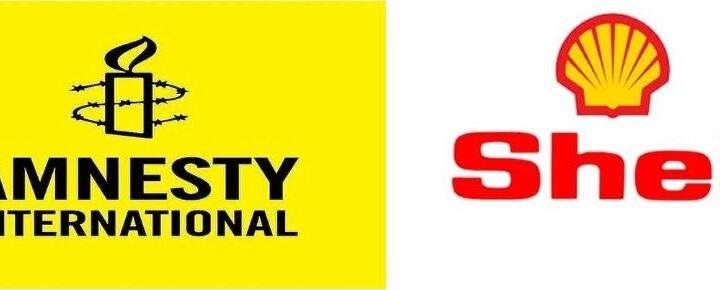 $2.4bn Asset Sale: Amnesty International Calls On Shell To Compensate Niger Delta