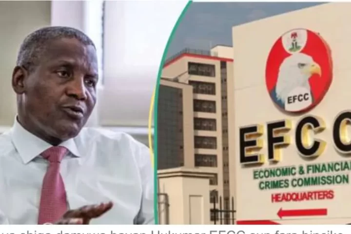 EFCC’s Raid On Dangote Group Threatens Nigeria’s Economy, Lawmaker Warns