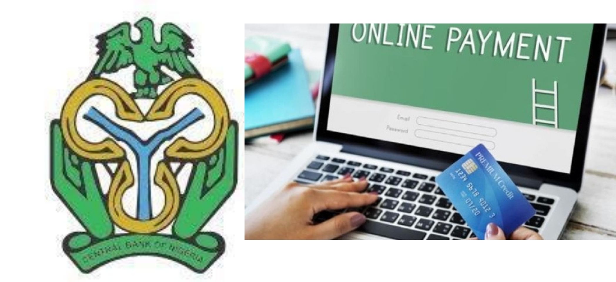 Talk To CBN Through Your Bank: What Do You Feel About Nigeria’s Online Payment Systems?