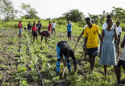 African Development Bank To Host Digital Climate Advisory Services Training For Agricultural Resilience In Central Africa