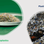 Microplastics Could Be Potential Health Risks