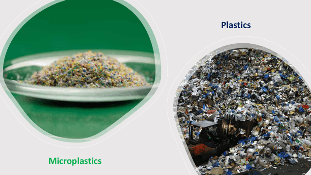 Microplastics Could Be Potential Health Risks