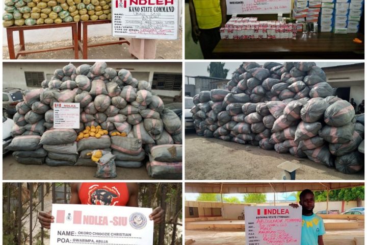 NDLEA Launches Massive Raids In Lagos, Edo, Ondo, Seizes 44,948kg Drugs, 11 vehicles