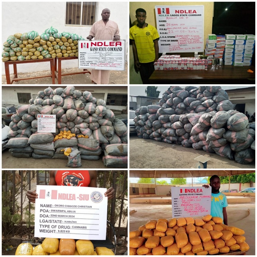 NDLEA Launches Massive Raids In Lagos, Edo, Ondo, Seizes 44,948kg Drugs, 11 vehicles