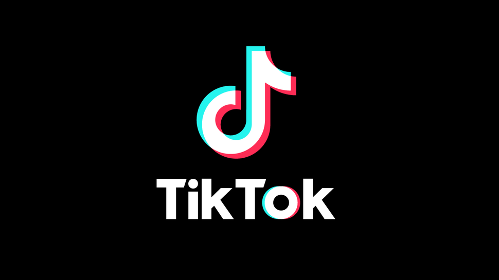 TikTok Ban Bill: Navigating Concerns, Voting