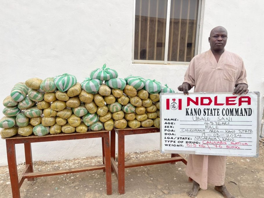 NDLEA Launches Massive Raids In Lagos, Edo, Ondo, Seizes 44,948kg Drugs, 11 vehicles