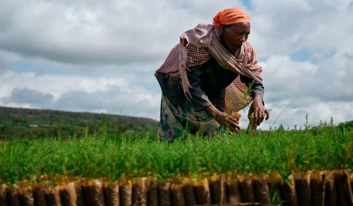 Ethiopia: African Development Fund grants $ million to improve access to water and sanitation for pastoral communities in the Borana region