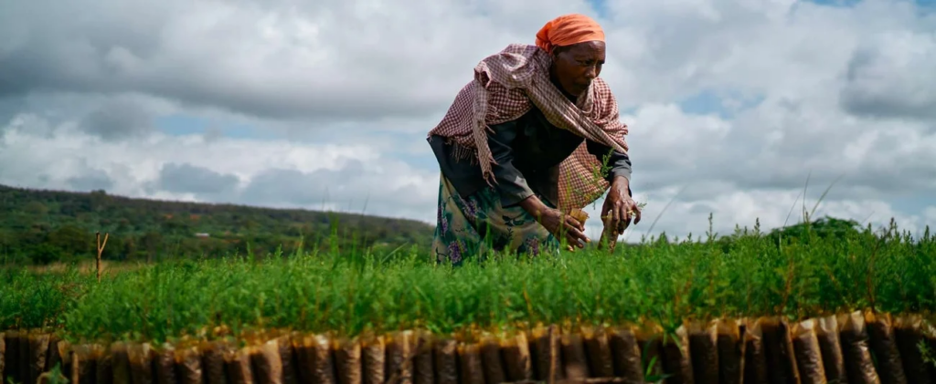 Ethiopia: African Development Fund grants $ million to improve access to water and sanitation for pastoral communities in the Borana region