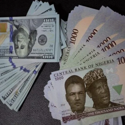 Naira Gains Strength As Forex Speculators Face Heavy Losses