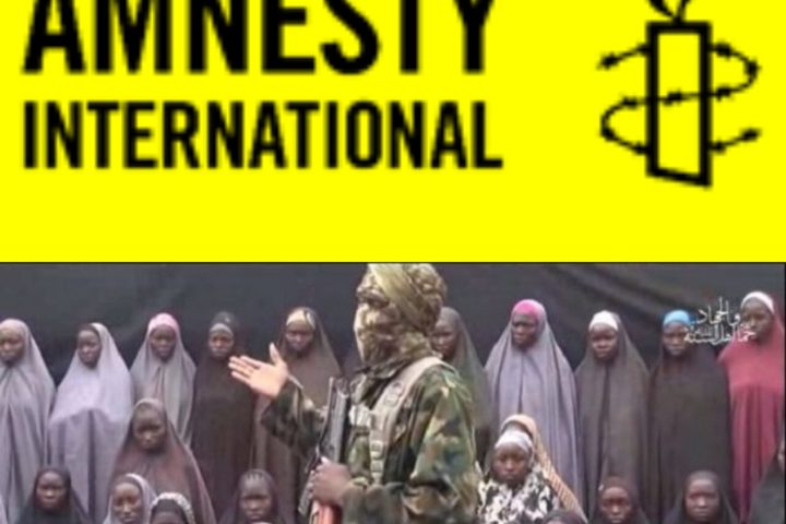 Amnesty International Tasks Nigerian Govt on Safe Return Of Chibok Girls