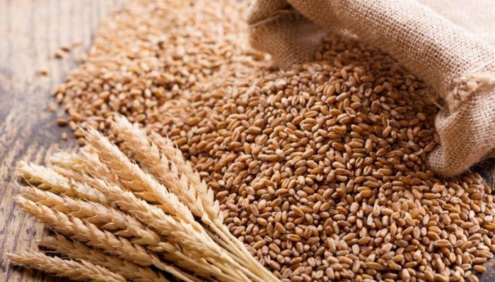 Nigeria's Naira Strains As Wheat Imports Rise: A Call For Local Production