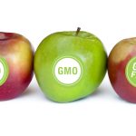 HOMEF, GMO-Free Nigeria Alliance Hail House Of Reps Decision To Investigate Introduction Of GMOs In Nigeria