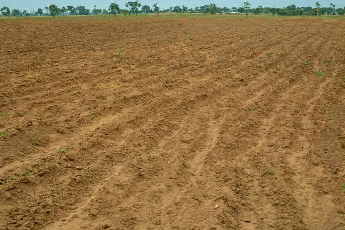 Anambra Farmers Worry Over Prolonged Lack Of Rainfall