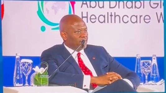 Why Public, Private Sector Must Prioritize Investments In Innovation To Improve Healthcare - Elumelu 