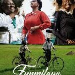 'Funmilayo Ransome-Kuti' Rakes ₦71 Million On Opening Weekend