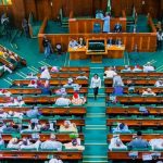 Nigeria Presidency: Lawmakers Push For 6-year Single Tenure, Rotation Among Zones