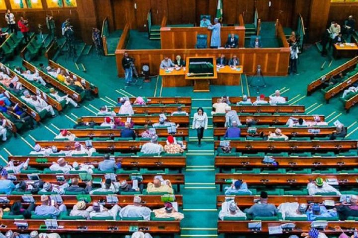 Nigeria Presidency: Lawmakers Push For 6-year Single Tenure, Rotation Among Zones