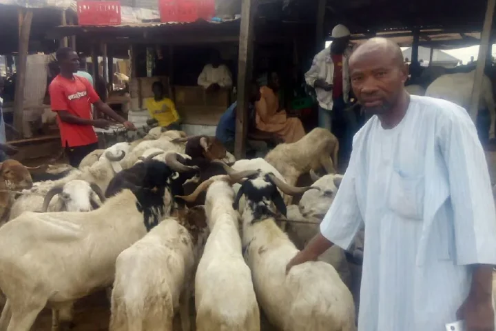 Sallah: Ram Sellers Lament Low Patronage, Blame Economic Challenges