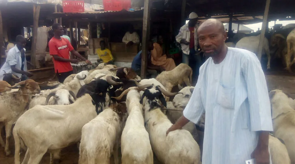 Sallah: Ram Sellers Lament Low Patronage, Blame Economic Challenges