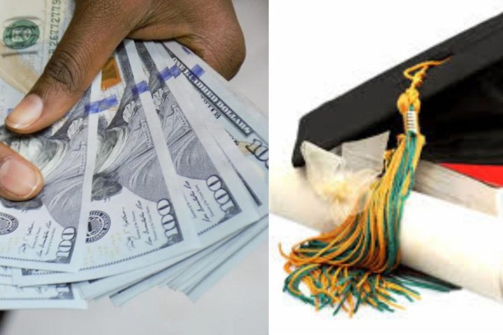 Nigeria’s FX Allocation To Foreign Education Drops By 83% Amid Enrolment Decline