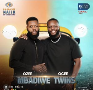 BBNaija Season 9: See Full Housemates, Pairs List