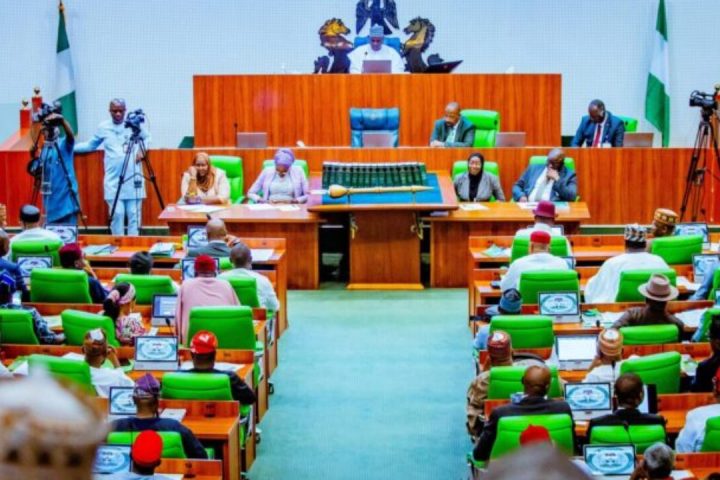 CIPSMN Amendment Bill: Reps Committee Directs BPP To Work With  Institute