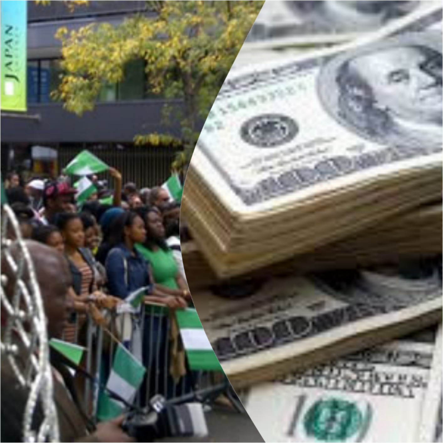 Nigeria's Diaspora Remittances Decline by %