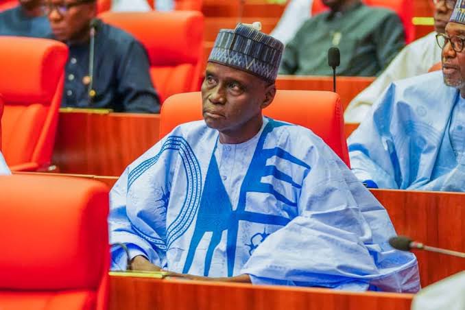 Senate Punishes Ndume With Removal As Chief Whip For Criticising Tinubu