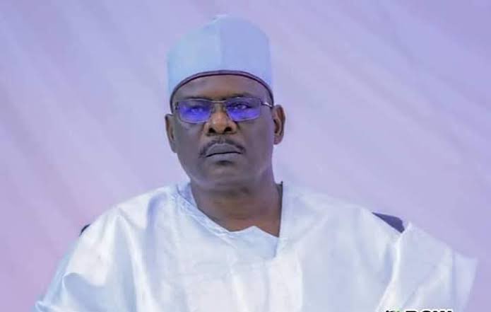 Senate Punishes Ndume With Removal As Chief Whip For Criticising Tinubu