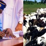 Tinubu Creates Ministry Of Livestock Development