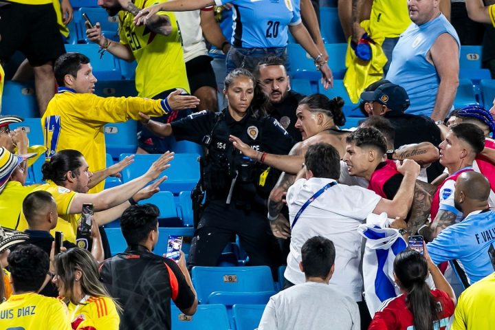 Uruguay players stepped into the stands as fight broke out