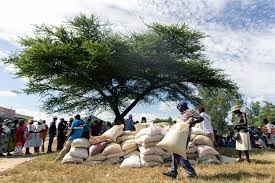 Zimbabwe Govt To Provide 8.5kg Of Corn Monthly To Over 6 Million Impoverished Citizens
