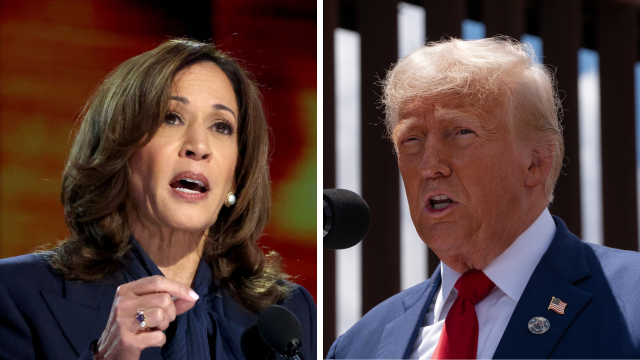 Donald Trump Criticises Kamala Harris, Calling Her The "Weakest Presidential Candidate" On Crime